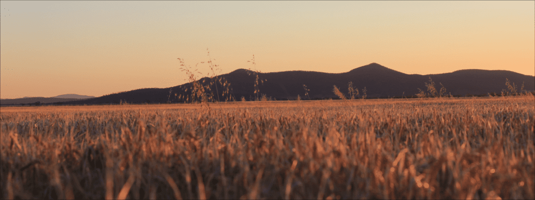 Mission & Values | Barrett Burston Malting - High-Quality Australian Malt